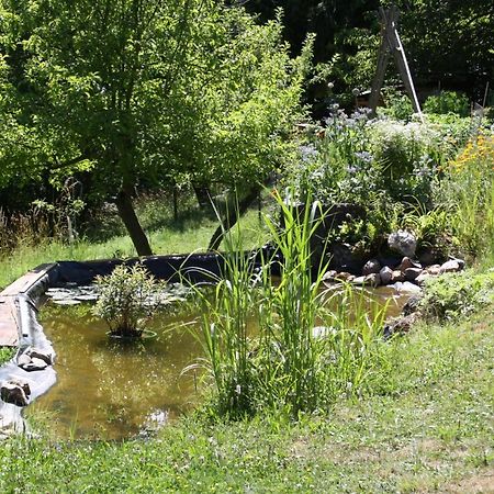 Ferienhaus "Am Schleifenbach" Saalfeld Saale Esterno foto
