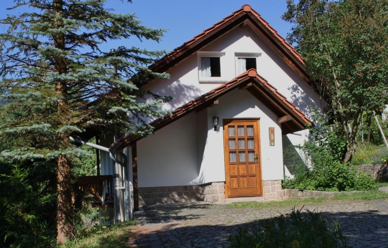 Ferienhaus "Am Schleifenbach" Saalfeld Saale Esterno foto